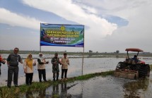 Petani Bekasi tanam padi (Doc: Kementan)