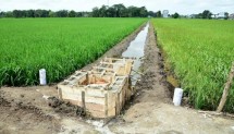 Program Padat Karya Tunai