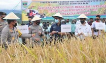 Gubernur Sumbar dan petani panen padi (Doc: Kementan)