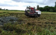 Petani sedang membajak sawah (Doc: Kementan)