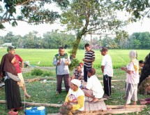 Petani Riau siap membasmi hama ulat grayak