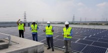 Fonterra Memanfaatkan Tenaga Surya untuk Pabrik Indonesia