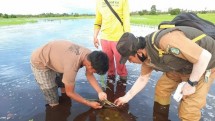 Petani di sawah yang sudah siap tanam