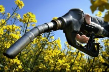 Ilustrasi Biofuel
