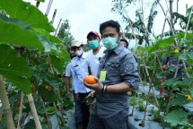 Menteri Pertanian Syahrul Yasin Limpo di Lembang, Bandung.