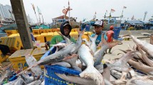 Ilustrasi aktivitas nelayan. (Dimas Ardian/Bloomberg via Getty Images)