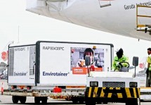 Enam Juta Dosis Vaksin Sinovac Tiba di Indonesia