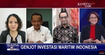 Indonesia Investment Authority (INA)