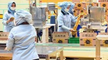 Industri kemasan, PT Mitra Makmur Rotokemindo