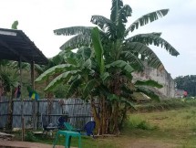 Rumah Warga Masyarakat