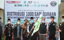 ACT tebar 1000 hewan kurban