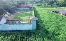 Lapas yang lahannya difungsikan perkebunan Jagung