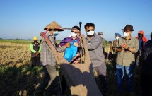Menteri Pertanian Syahrul Yasin Limpo bersama petani