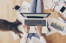 Ilustrasi Work From Home (WFH) (Ist)