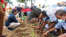 Petani Papua sedang menanam