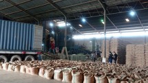 PT Perusahaan Perdagangan Indonesia (Persero) (PPI) secara berkesinambungan terus lakukan ekspor kopi ke Mesir. Yang terakhir, sebanyak 120 ton pada Desember 2021, yaitu di Bandar Lampung pada (23/12/2021). 