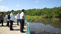 Menko Luhut Kunjungi Kawasan Mangrove Tahura
