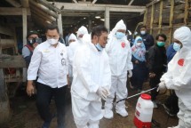 Menteri Pertanian Syahrul Yasin Limpo ikut menyemprotkan disinfektan ke Peternakan Sapi