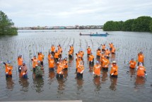 PT Pupuk Kalimantan Timur Tanam 1.500 Bibit Mangrove di Perairan Bontang