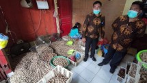 KSP CU Saro Niferi Halmahera