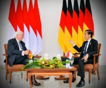 Presiden Jokowi dan Presiden Jerman Steinmeier 