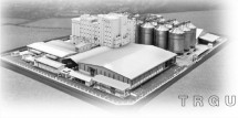 PT Cerestar Indonesia Tbk (“TRGU”),