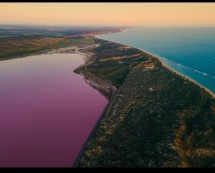 Ilustrasi Pink Lake (Danau garam di wilayah Goldfields-Esperance di Australia Barat)