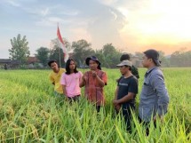 Mandiri Pangan dengan Memanfaatkan Mikroba Made in Indonesia 