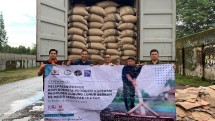 Ekspor kopi Robusta ke Mesir
