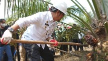 Mentan SYL memotong Kelapa Sawit