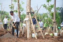 JIEP Jadi Tuan Rumah Gerakan Tanam Pohon Bersama Presiden Joko Widodo Untuk Hijaukan Jakarta