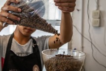 Barista menuangkan biji Kopi ke mesin giling