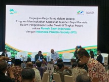 Rumah Sawit Indonesia (RSI) Jadi Wadah Bersama Pengusahaan Kelapa Sawit di Indonesia
