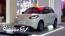 Wuling BinguoEV