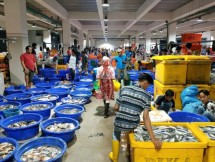 PT Perikanan Indonesia Siap Penuhi Ketersediaan Ikan Jelang Hari Raya Idul Fitri 2024
