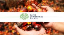 PT Sawit Sumbermas Sarana Tbk (SSMS)