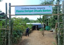 Peternak Plasma Jalupang Bersama Dompet Dhuafa Banten
