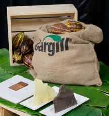 Cargill Resmikan Lini Produksi Kakao Baru di Indonesia untuk Memenuhi Peningkatan Permintaan Konsumen Asia terhadap Indulgent Foods 