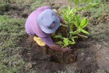 Program Ayo BerAKSI terbagi ke dalam empat kategori, yaitu Aksi Warga (sosial), Aksi Bumi (lingkungan), Aksi Edukasi (pendidikan), dan Aksi UMKM (ekonomi).