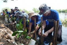 Penanaman Mangrove oleh JTrust