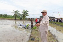 Mentan Amran Sulaiman di persawahan