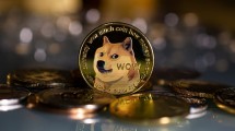 Ilustrasi Doge Coin