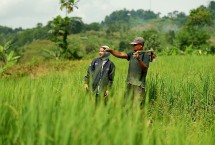 BRI bersama petani binaan