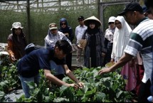 Lembaga Pengembangan Investasi Wakaf (LPIW) menggelar kegiatan wisata panen bertajuk “Petik Cerita, Rangkai Manfaat” di kawasan wakaf produktif Pesantren Tahfidz Green Lido, Sukabumi.