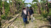 Kapuslat BPPSDMP Kementan, Inneke Kusumawaty di sela-sela kunjungan ke lahan Oplah di Brigade Pangan (BP) Pagun Sembial di Desa Tideng Pale, Kecamatan Sesayap, Kabupaten Tana Tidung
