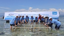 Midea Blue Wave