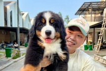 Koko Guguk