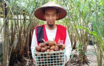 Surya Agung, pemilik Omah Salak di Sleman bersama salak olahan kebunnya.