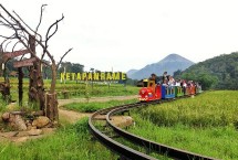 Ketapan Rame, Desa BRILian