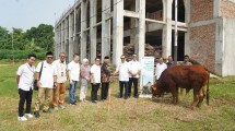Yayasan Muslim Sinar Mas Land menyerahkan secara simbolis hewan kurban kepada sejumlah masjid yang tersebar di wilayah proyek Sinar Mas Land